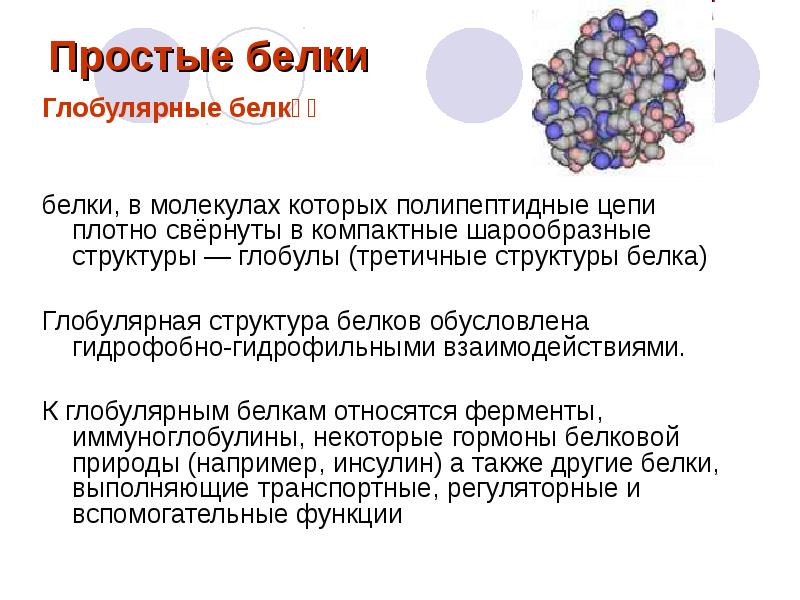 Презентация на тему белки по химии 10 класс