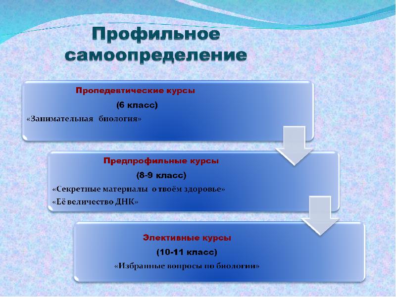 Курсы самоопределения. Презентация на тему профессиональное самоопределение. Структура профессионального самоопределения. Пропедевтический раздел – это:.