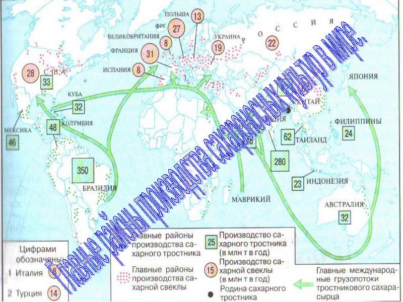 Районы производства. Главные районы по производству сахарного тростника. Основные районы сахарного тростника.