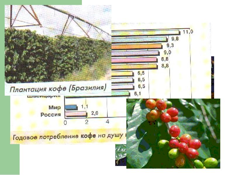 Карта растениеводства мира