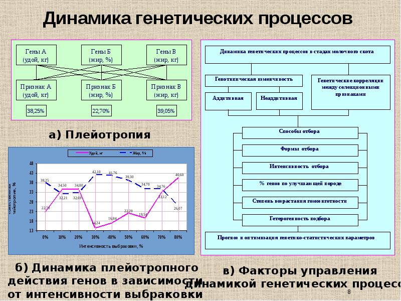 Динамика изучение