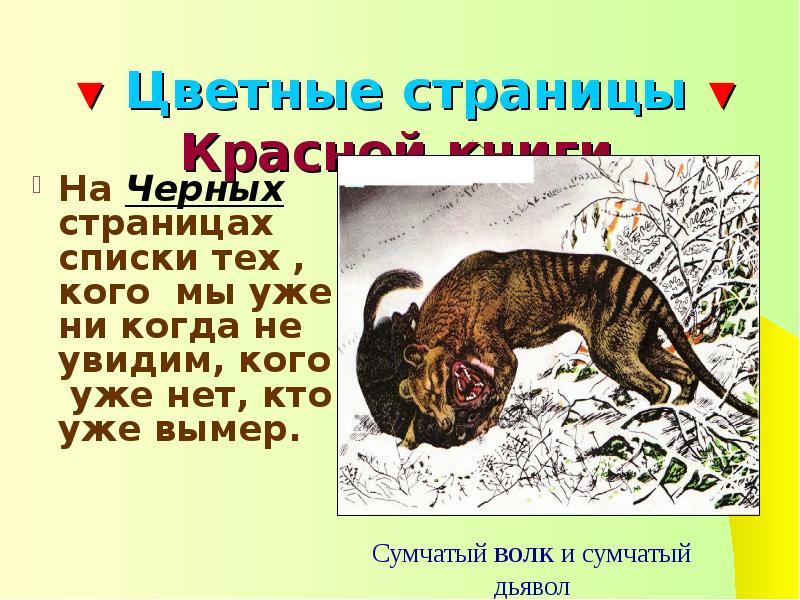 Красная и черная книга презентация