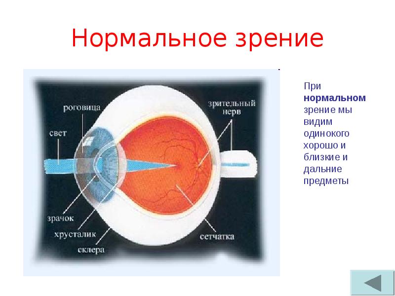 Схема гигиены зрения