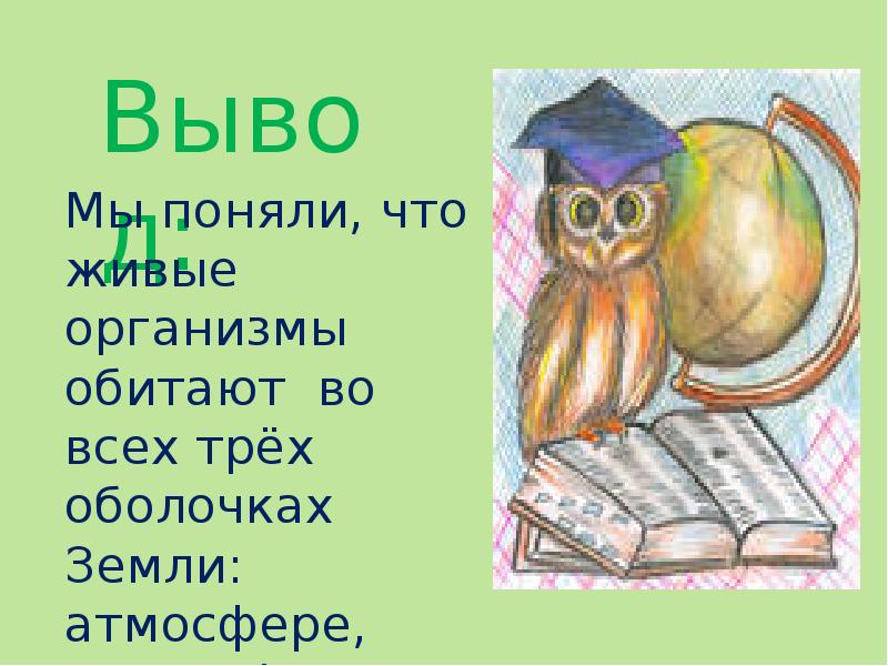 где обитают живые организмы. где не обитают живые организмы на нашей планете. где обитают живые организмы 5 класс. где обитают живые организмы. какие организмы обитают на земле.