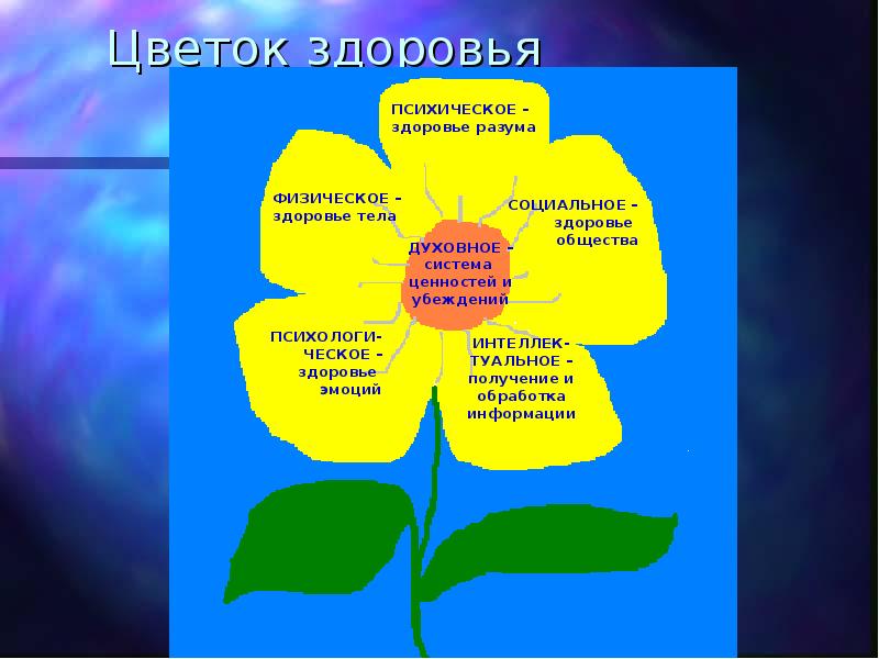 Цветок здоровья. Проект цветок здоровья. Цветок здоровья в детском саду. Цветок здоровья презентация для детей.