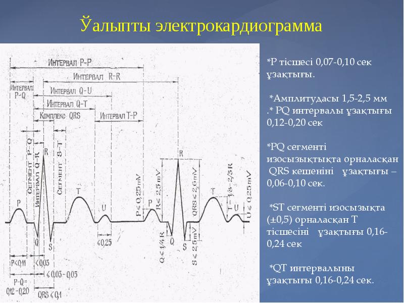 Экг презентация қазақша