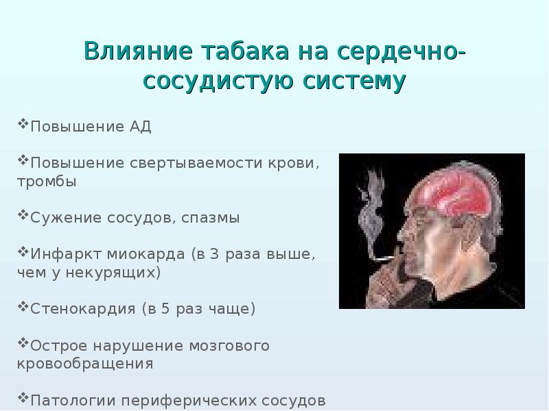 Влияние курения на сердечно сосудистую систему картинки