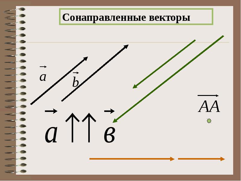 Сонаправленные векторы рисунок