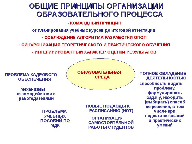 Сайте федерального института оценки качества образования. Основные принципы организации учебного процесса. Принципы организации профессионального образования. Основные принципы организации системы образования. Федеральный институт оценки качества образования.