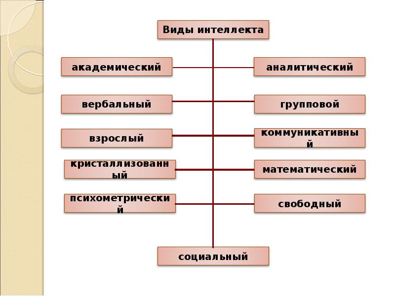 Виды познавательных процессов