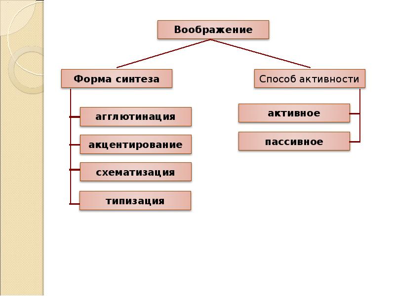 Познавательные процессы 8 класс презентация