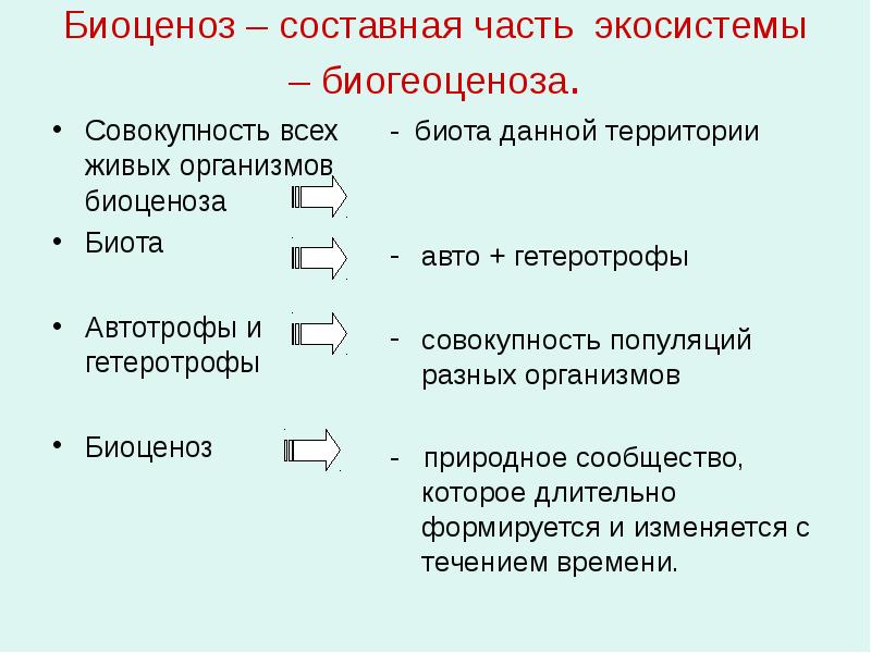 Островные биоты презентация