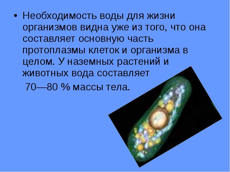 Вода необходимость. Выше 25 км нет жизни организмов.