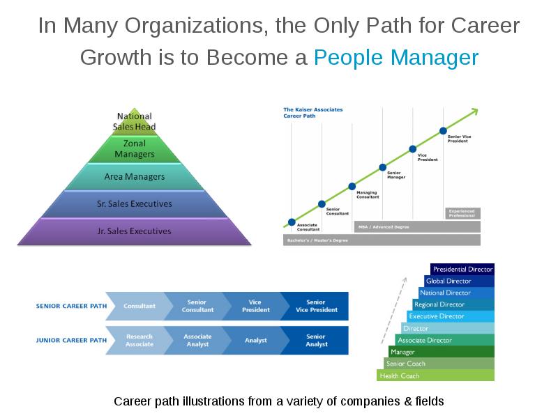 State Regulation of Entrepreneurship. Programming career growth.