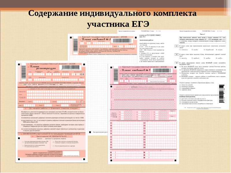 Содержание индивидуального. Контрольный лист ЕГЭ. Контрольный лист индивидуального комплекта ЕГЭ. Индивидуальный комплект ЕГЭ. Контрольный лист участника ЕГЭ.