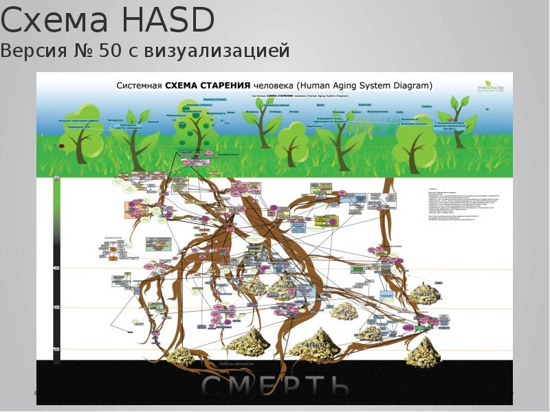 Системная схема старения человека