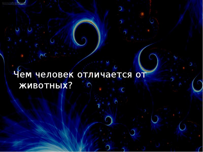 Чем человек отличается от животного 4 класс 21 век презентация