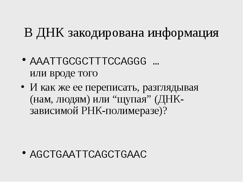 В днк закодирована информация о. Как закодирована информация в ДНК. Что может быть закодировано на ДНК.