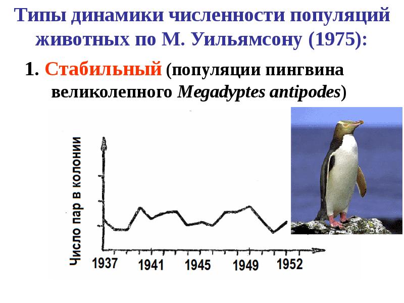 Изменение численности популяций презентация