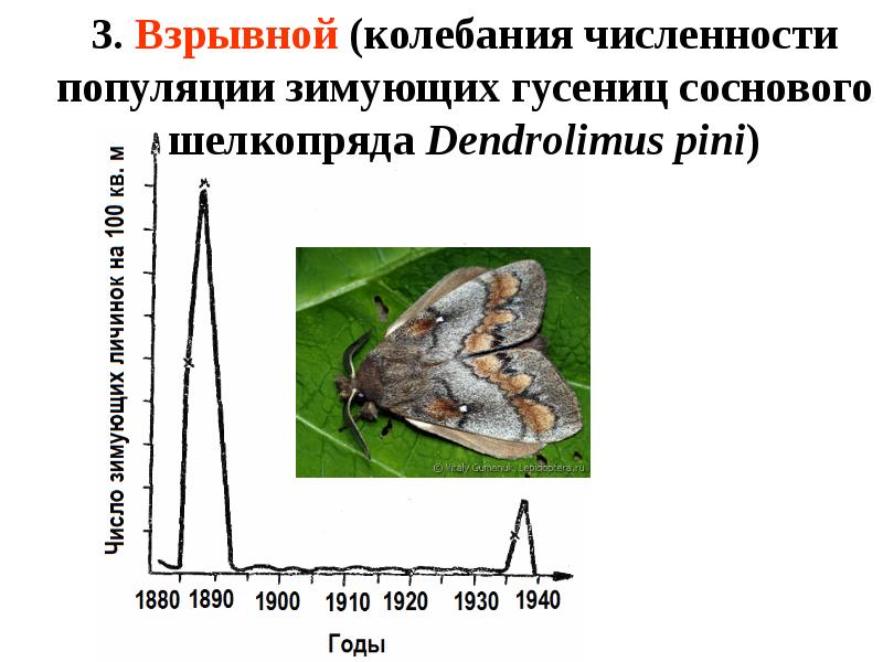 2 численность популяции