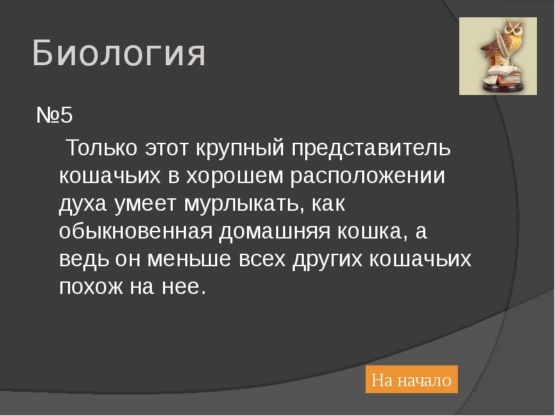 Какое может быть расположение духа Pin on таро тота Tarot book, Tarot cards art, Tarot astrology