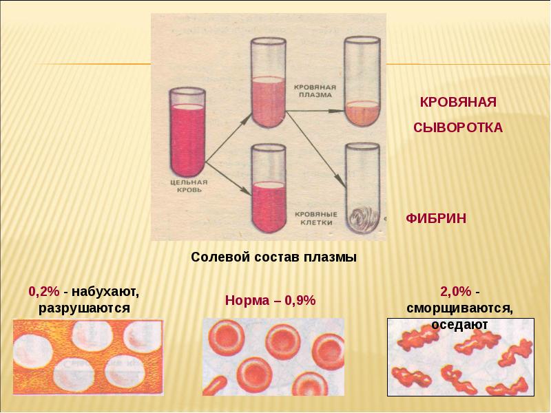 Сывороткой крови называется. Влияние солевого состава среды на эритроциты. Соли плазмы крови. Концентрация соли в крови. Состав крови.
