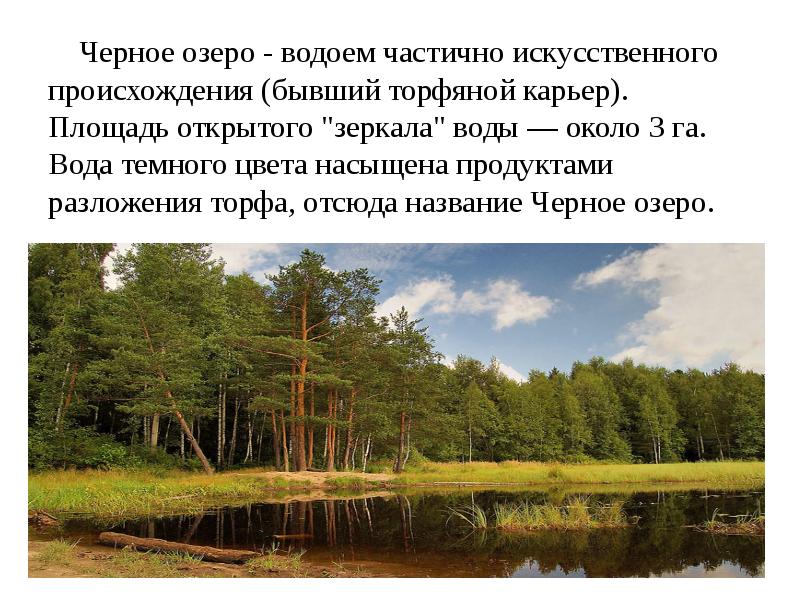 Чёрное озеро пермский край. Чёрное озеро пермский край. Читать черное озеро. Отрывок паустовский мещерская сторона. Читать черное озеро.