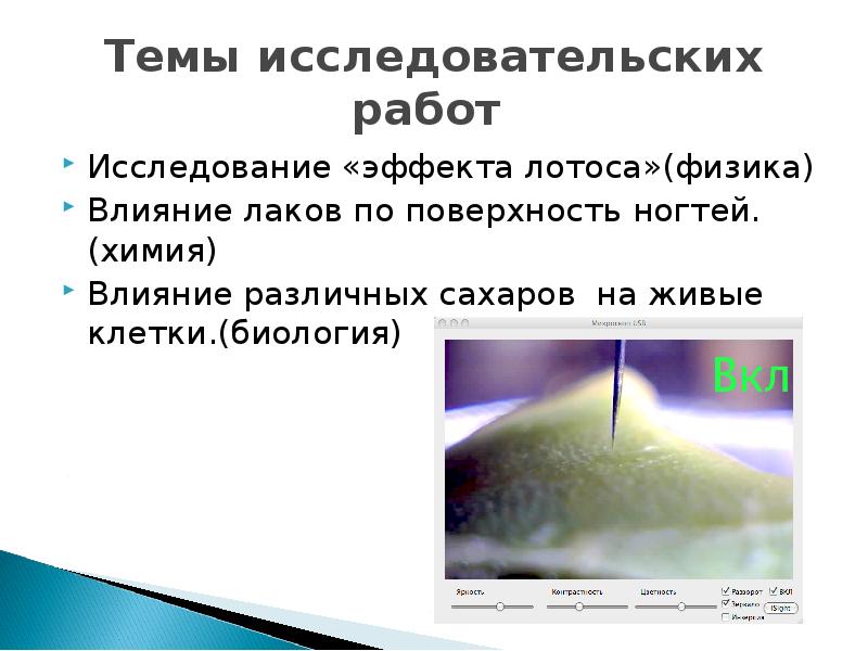 Сообщение на тему исследование. В каких сферах используется эффект лотоса.