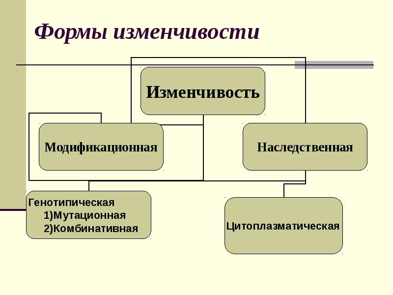 Мутационная изменчивость в отличие от модификационной. Генотипическая и цитоплазматическая изменчивость. Цитоплазматическая форма изменчивости. Цитоплазматическая и комбинативная изменчивость. Наследственная изменчивость генотипическая и цитоплазматическая.