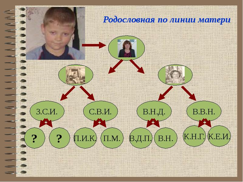 Как написать проект родословная