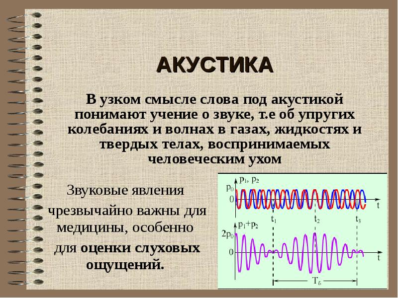 Акустика проект по физике