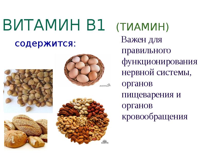 Содержание в продуктах витамина в 1. Витамин b1 тиамин. Тиамин витамин в1 структура. Витамин б1 тиамин. В1 тиамин в продуктах.