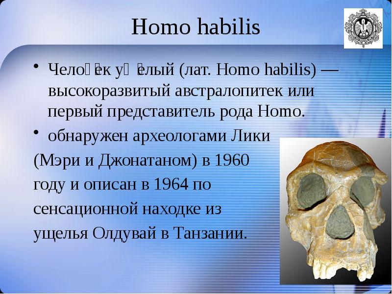 Первые представители рода человек. Хомо хабилис. Хомо хабилис австралопитек. Первые представители рода homo. Человек умелый homo habilis.