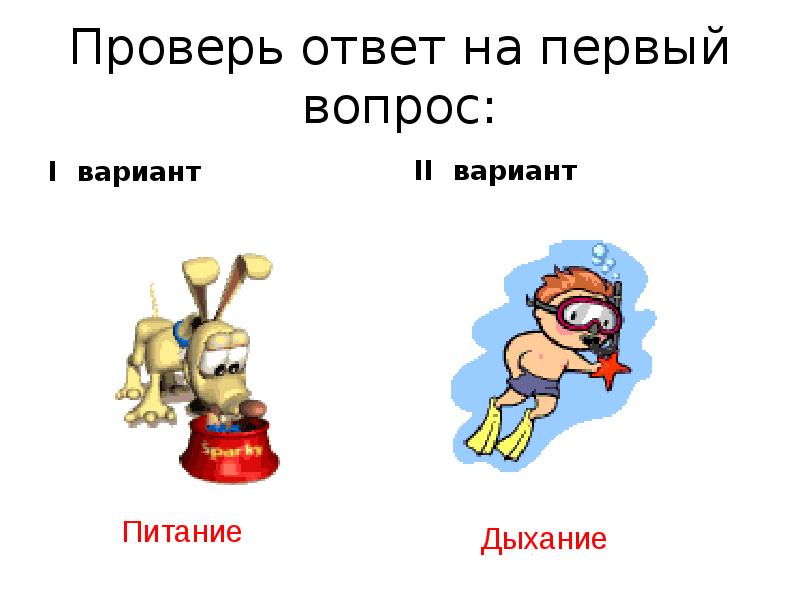 Игра проверь ответ. Игра проверь ответ