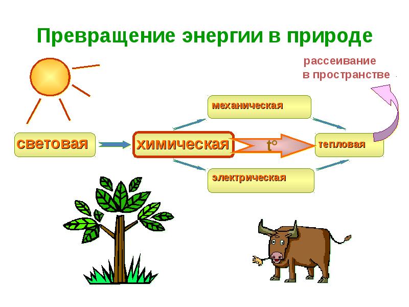 Превращение энергии из одного вида в другой презентация 7 класс