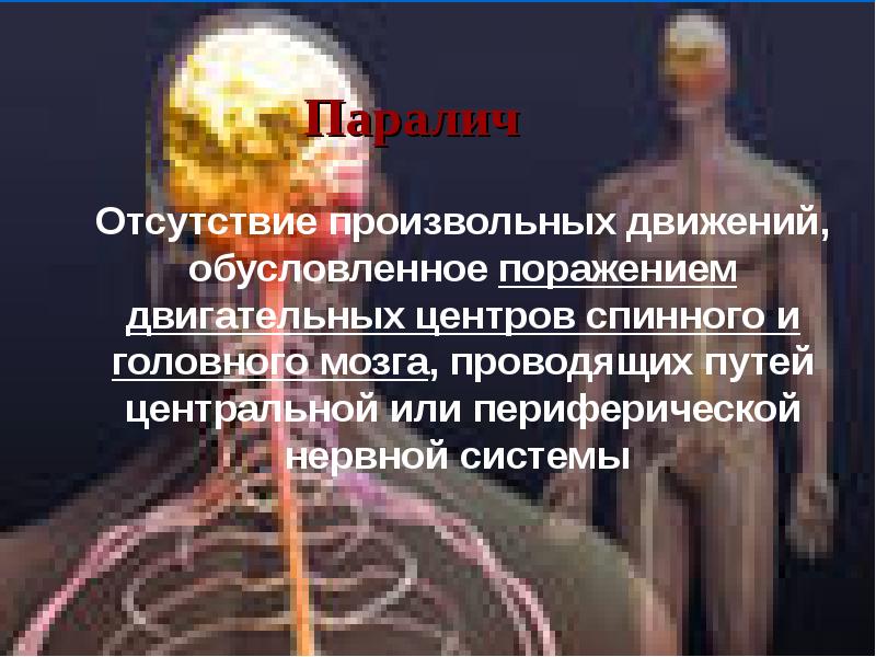 Двигательный центр спинного мозга. Паралич нервной системы. Паралич периферических нервов или спинного мозга. Заболевания периферической нервной системы. Паралич центральной нервной системы.
