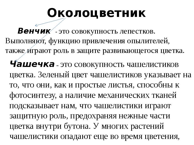 Венчик это. Совокупность лепестков цветка это. Околоцветник это совокупность. Венчик это совокупность лепестков. Совокупность чашелистиков.