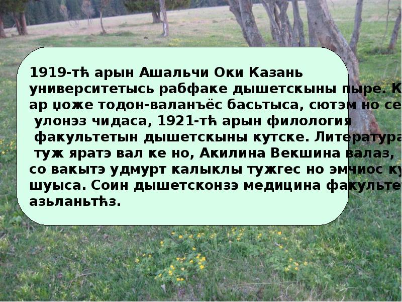 Ашальчи оки презентация