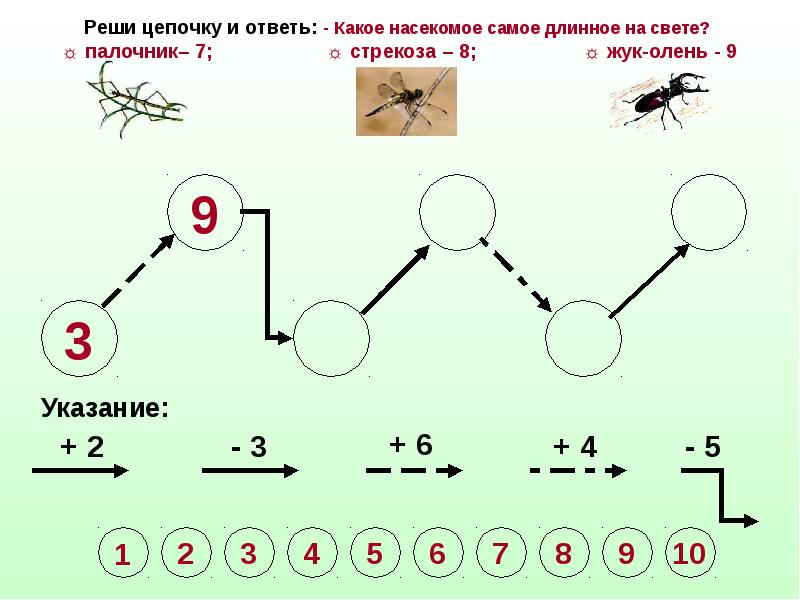 Выполни цепочку. Логические Цепочки для начальной школы. Задания цепочка 2 класс. Пищевая цепочка задание. Логические Цепочки 3 класс.