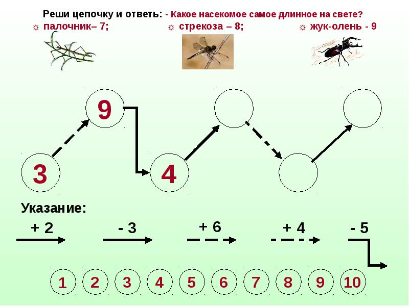 Решить цепочку. Интересные задания по экологии для начальной школы. Реши цепочку. Цепочка решений. Занимательные задания на циклы.