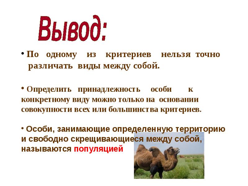 Высокий выше высочайший какой вывод