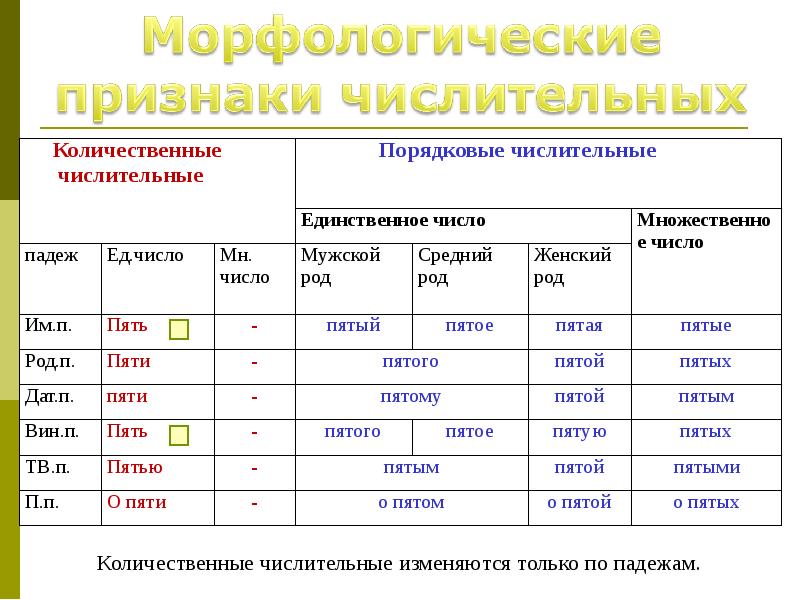 Морфологический анализ имен существительных 5 класс презентация