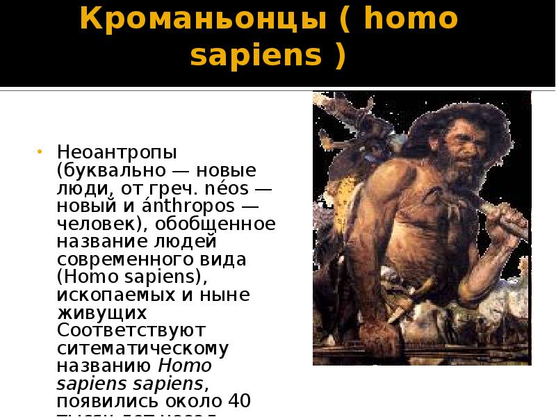 Homo sapiens читать. Неоантропы кроманьонцы. Кроманьонец ( homo sapiens). Новые люди Неоантропы. Современные люди Неоантропы.