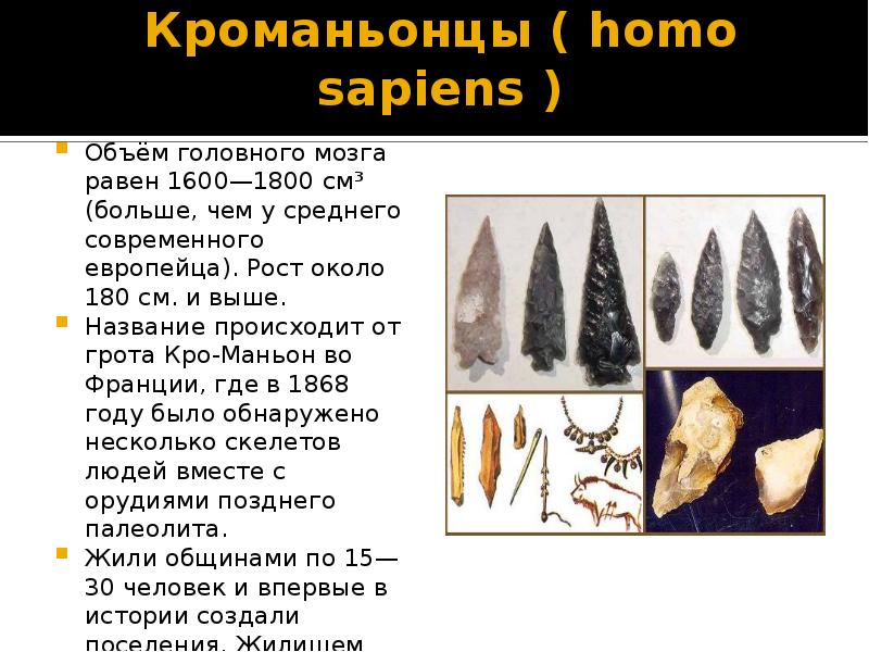 Кроманьонцы homo. Кроманьонцы объем мозга рост. Масса мозга кроманьонца. Объём мощга кроманьонца. Кроманьонцы рост вес объем мозга.