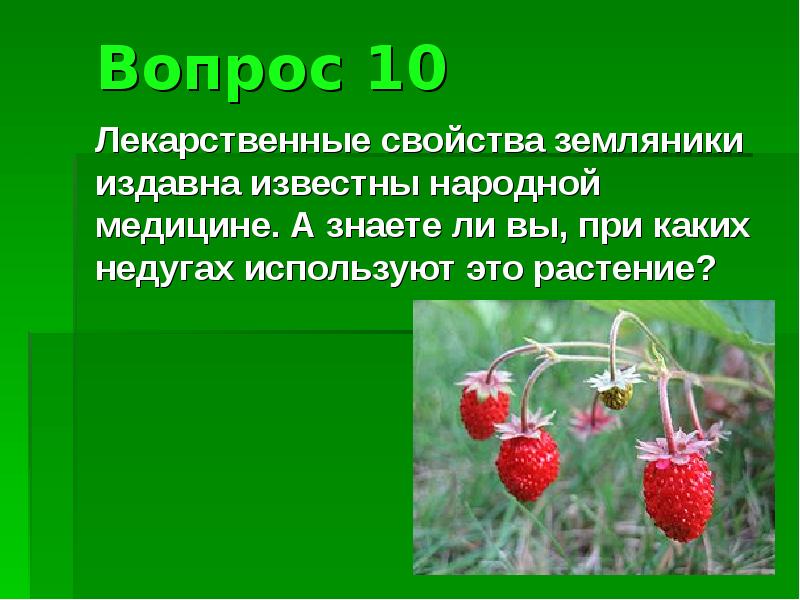 Характеристика земляники. Земляника свойства. Земляника характеристика. Земляника лекарственное растение. Земляника Лесная лечебные свойства.