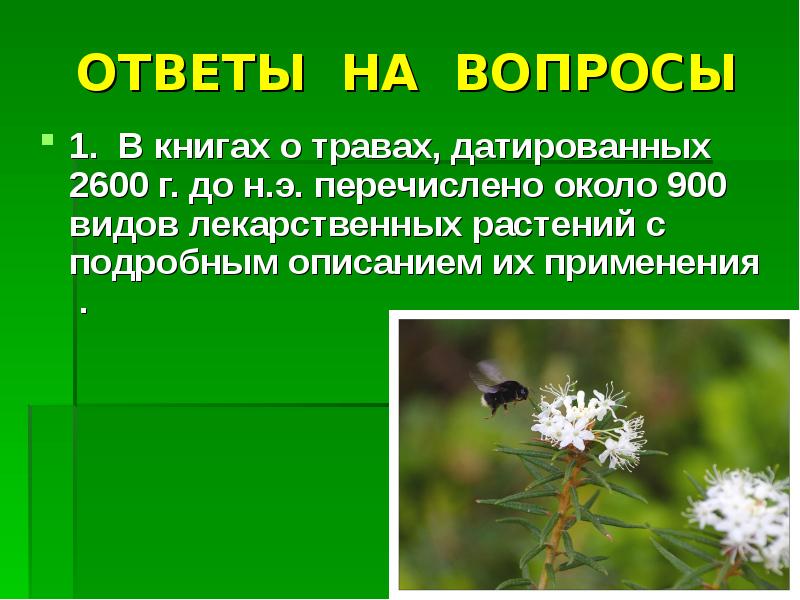 Растение отвечает на вопрос. Викторина о лекарственных растениях. Вопросы про лечебные растения. Викторина на тему лекарственные растения. Лекарственные растения вопросы для викторины.