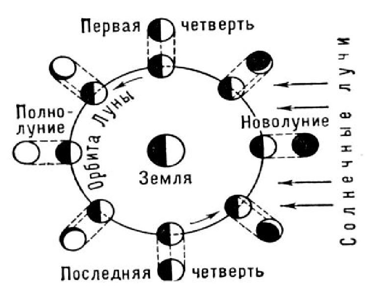 Фазы луны схема