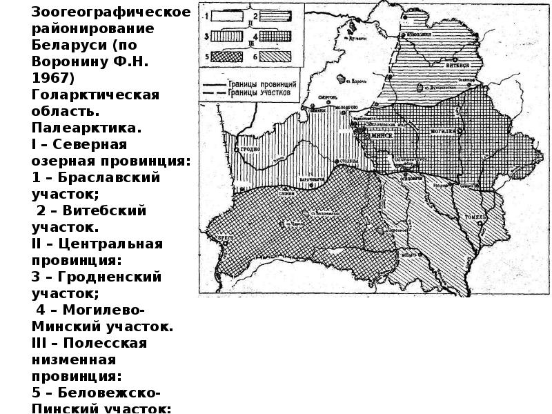 Фаунистическое районирование карта