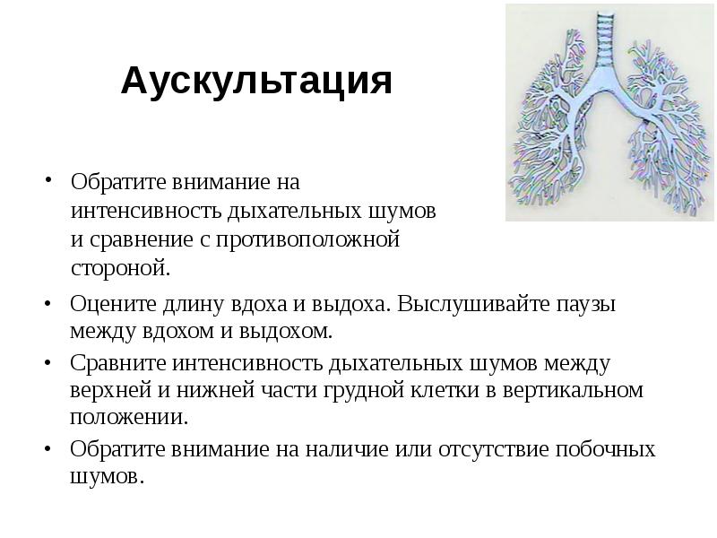 Оцените длину вдоха и выдоха. Выслушивайте паузы между вдохом и выдохом.