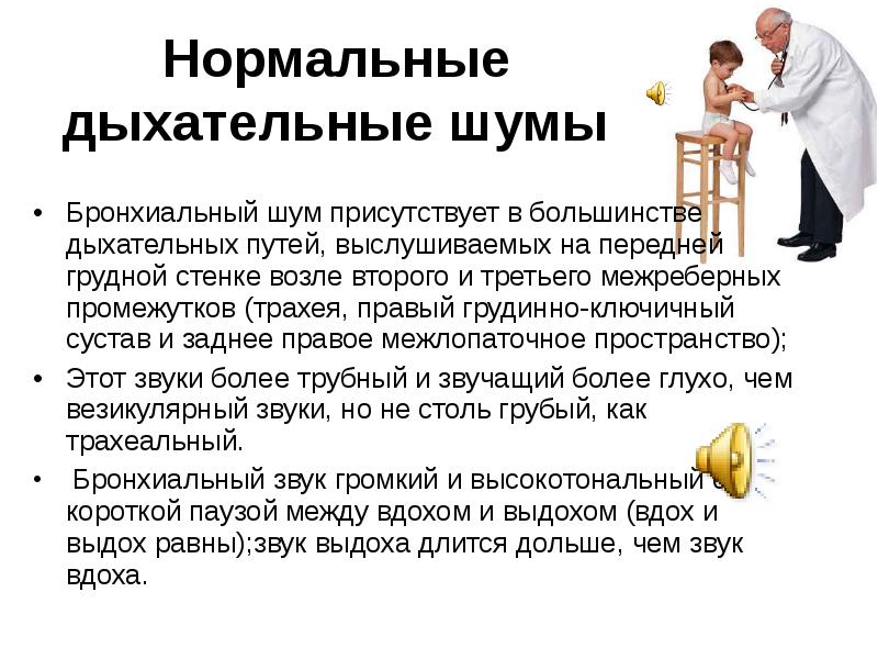 Нормальные дыхательные шумы Бронхиальный шум присутствует в большинстве дыхательных путей, выслушиваемых